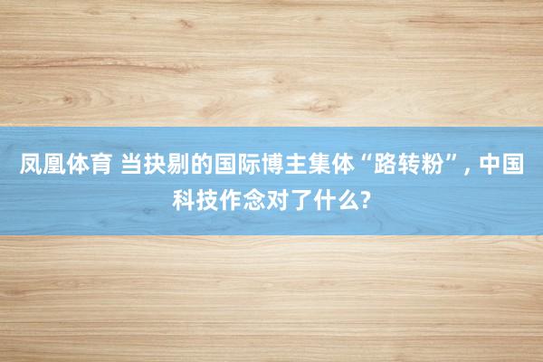 凤凰体育 当抉剔的国际博主集体“路转粉”， 中国科技作念对了什么?