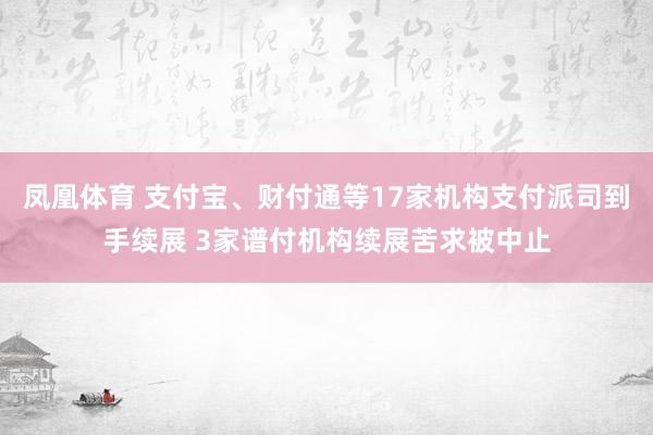 凤凰体育 支付宝、财付通等17家机构支付派司到手续展 3家谱付机构续展苦求被中止