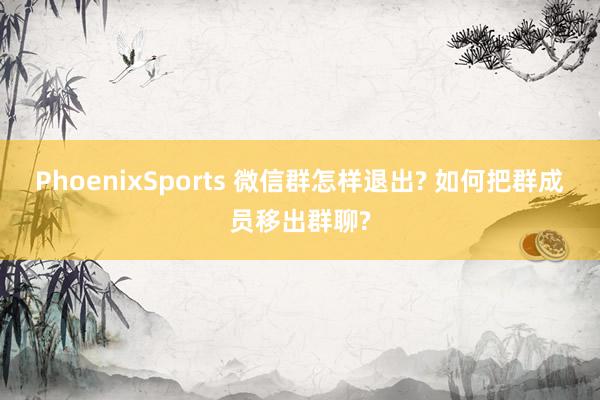 PhoenixSports 微信群怎样退出? 如何把群成员移出群聊?