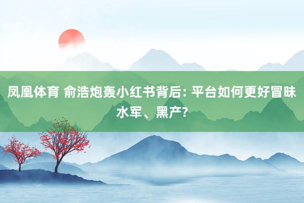 凤凰体育 俞浩炮轰小红书背后: 平台如何更好冒昧水军、黑产?