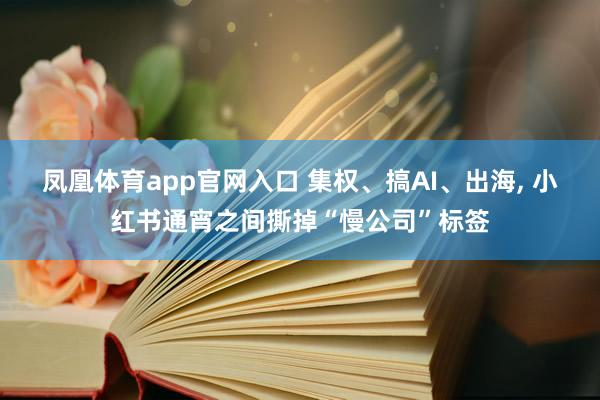 凤凰体育app官网入口 集权、搞AI、出海， 小红书通宵之间撕掉“慢公司”标签