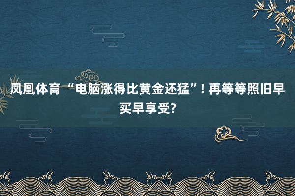 凤凰体育 “电脑涨得比黄金还猛”! 再等等照旧早买早享受?