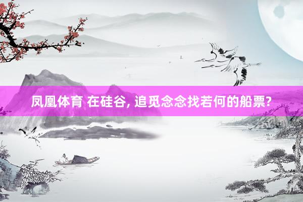 凤凰体育 在硅谷， 追觅念念找若何的船票?