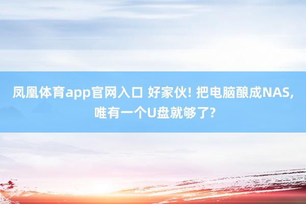 凤凰体育app官网入口 好家伙! 把电脑酿成NAS， 唯有一个U盘就够了?
