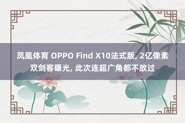 凤凰体育 OPPO Find X10法式版， 2亿像素双剑客曝光， 此次连超广角都不放过
