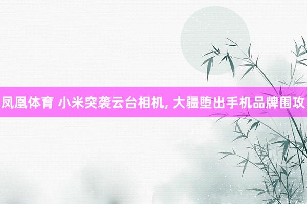 凤凰体育 小米突袭云台相机， 大疆堕出手机品牌围攻