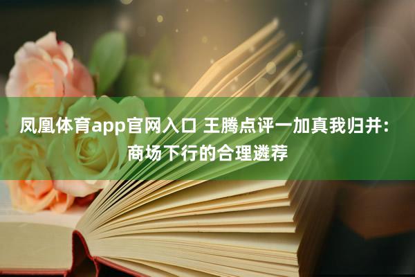 凤凰体育app官网入口 王腾点评一加真我归并: 商场下行的合理遴荐