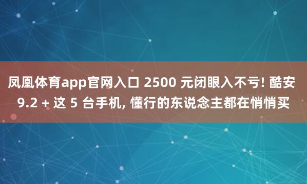 凤凰体育app官网入口 2500 元闭眼入不亏! 酷安 9.2 + 这 5 台手机， 懂行的东说念主都在悄悄买