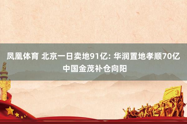 凤凰体育 北京一日卖地91亿: 华润置地孝顺70亿 中国金茂补仓向阳