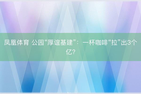 凤凰体育 公园“厚谊基建”：一杯咖啡“拉”出3个亿？