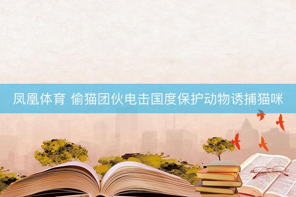 凤凰体育 偷猫团伙电击国度保护动物诱捕猫咪