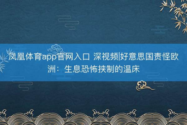 凤凰体育app官网入口 深视频|好意思国责怪欧洲：生息恐怖挟制的温床